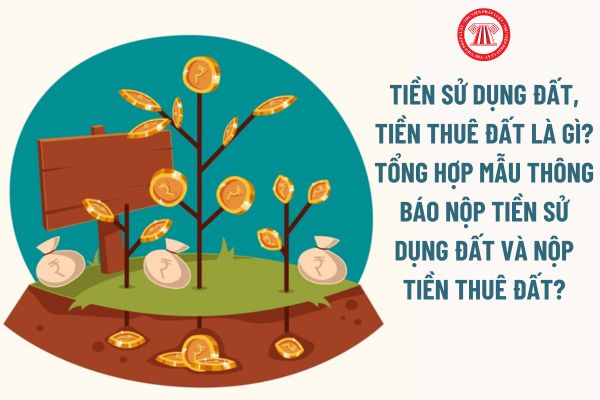 Tiền sử dụng đất, tiền thuê đất là gì? Tổng hợp mẫu thông báo nộp tiền sử dụng đất và nộp tiền thuê đất?