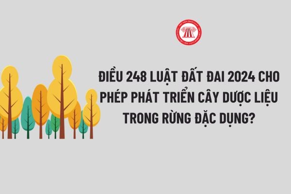 Điều 248 Luật Đất đai mới cho phép phát triển cây dược liệu trong rừng đặc dụng đúng không?