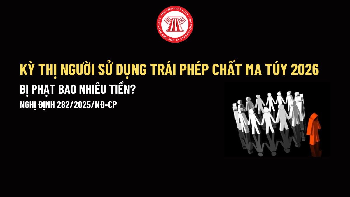 Pháp luật