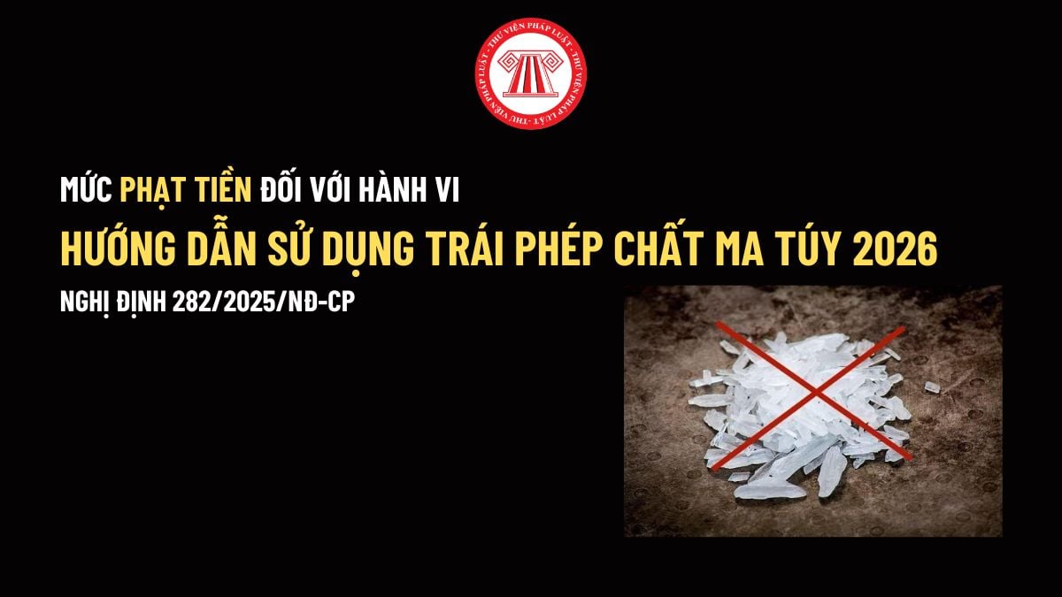 Pháp luật
