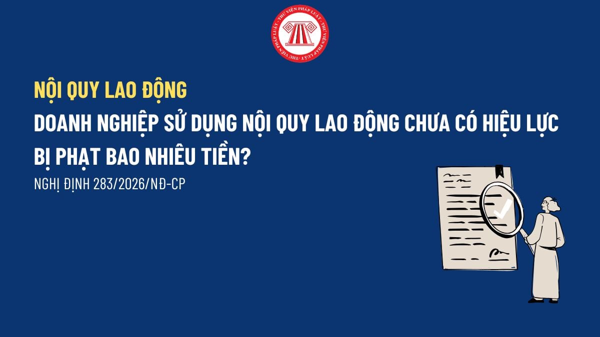 Pháp luật