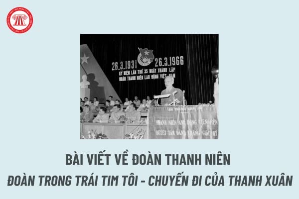 Bài viết về Đoàn thanh niên hay? Nhiệm vụ và Quyền của Đoàn viên Đoàn Thanh niên Cộng sản Hồ Chí Minh?