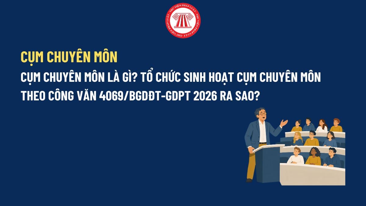 Pháp luật