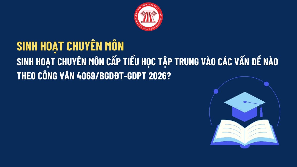 Pháp luật