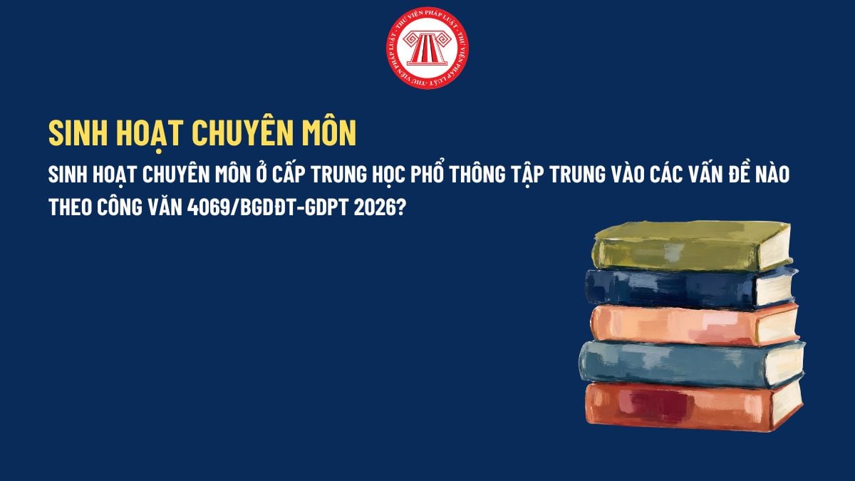 Pháp luật
