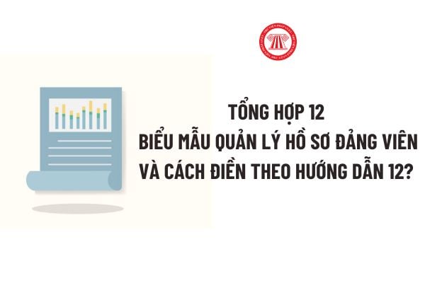 Tổng hợp 12 biểu mẫu quản lý hồ sơ Đảng viên và cách điền theo Hướng dẫn 12? Trách nhiệm trong xây dựng và quản lý hồ sơ đảng viên?