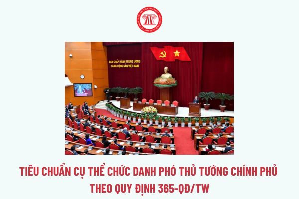Tiêu chuẩn cụ thể chức danh Phó Thủ tướng Chính phủ theo Quy định 365-QĐ/TW? Quy định về Phó Thủ tướng Chính phủ theo Luật Tổ chức Chính phủ?