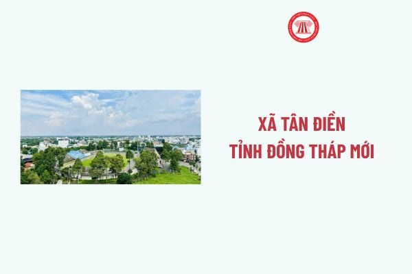 Pháp luật