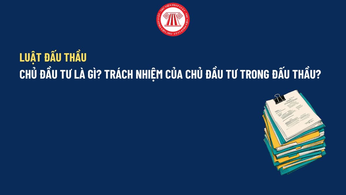 Pháp luật