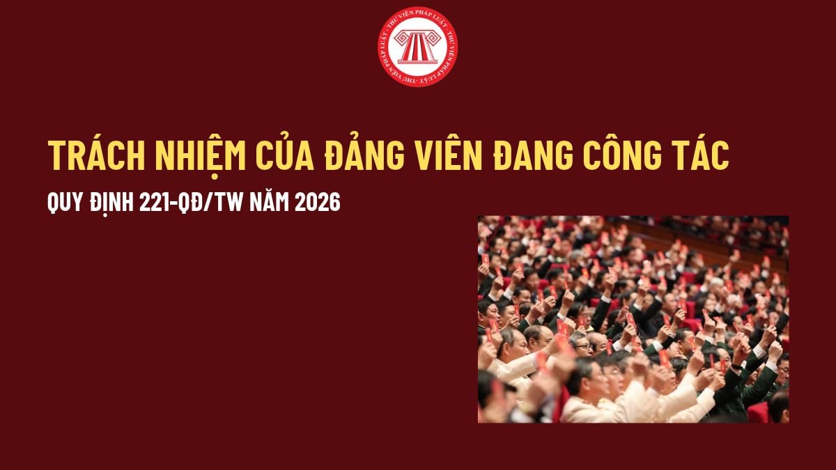 Pháp luật