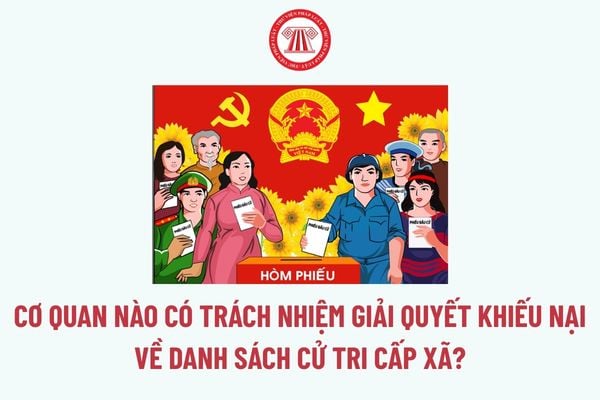 Pháp luật