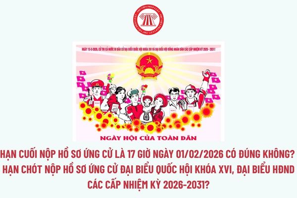 Pháp luật