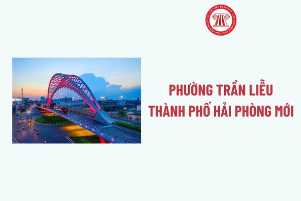 Pháp luật