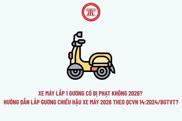 Pháp luật