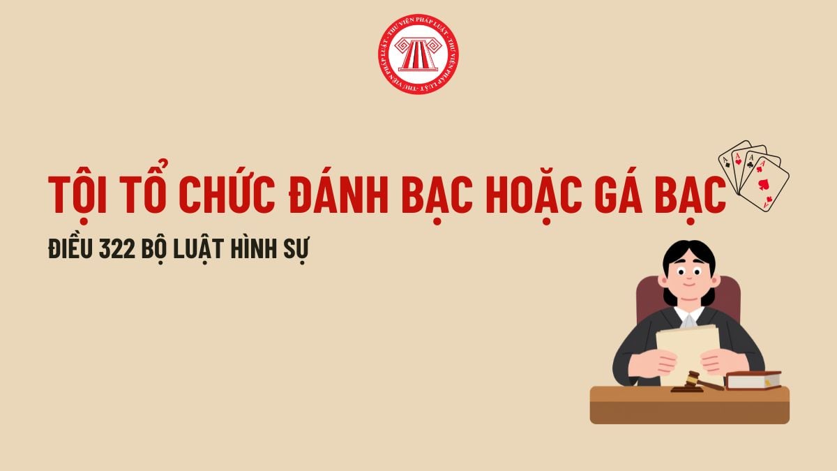 Pháp luật
