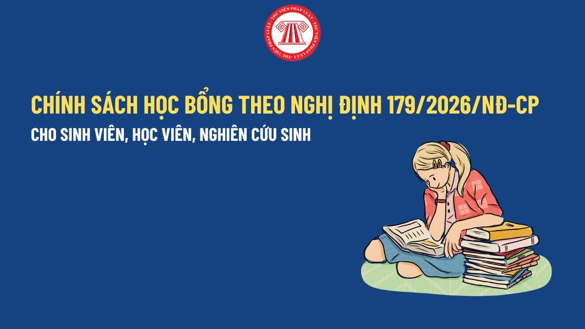 Pháp luật