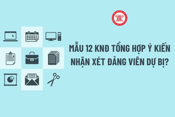 Mẫu 12 KNĐ Tổng hợp ý kiến nhận xét đảng viên dự bị? Tải về Mẫu 12 KNĐ mới nhất theo Hướng dẫn 12?