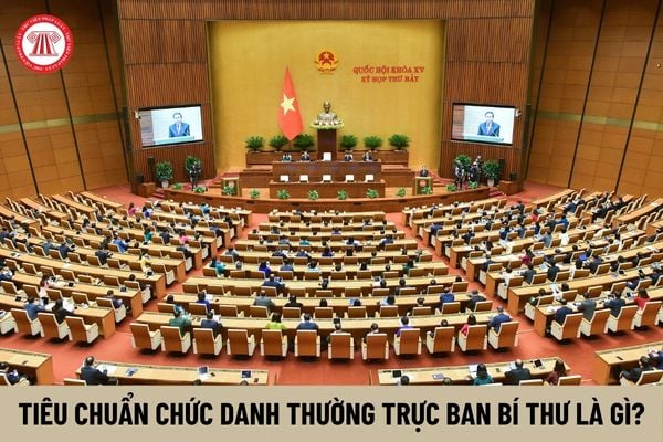 Tiêu chuẩn chức danh Thường trực Ban Bí thư là gì? Trách nhiệm của đồng chí Thường trực Ban Bí thư trong phân cấp quản lý cán bộ?