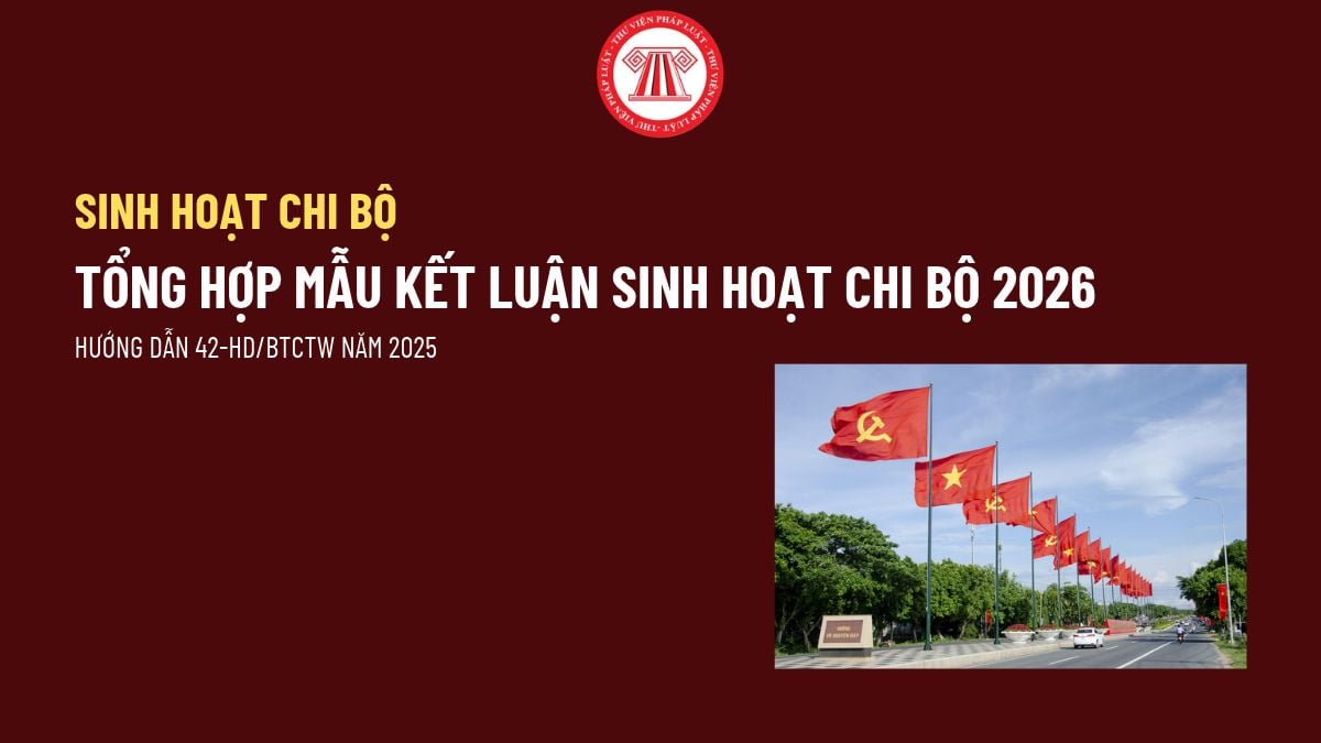 Pháp luật