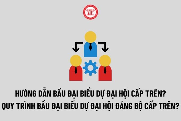 Hướng dẫn bầu đại biểu dự đại hội cấp trên? Quy trình Bầu đại biểu dự đại hội đảng bộ cấp trên? 