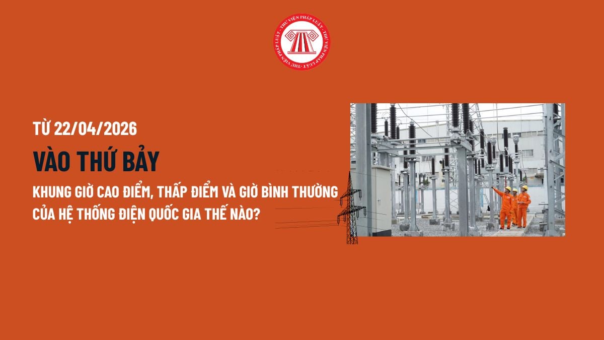Pháp luật