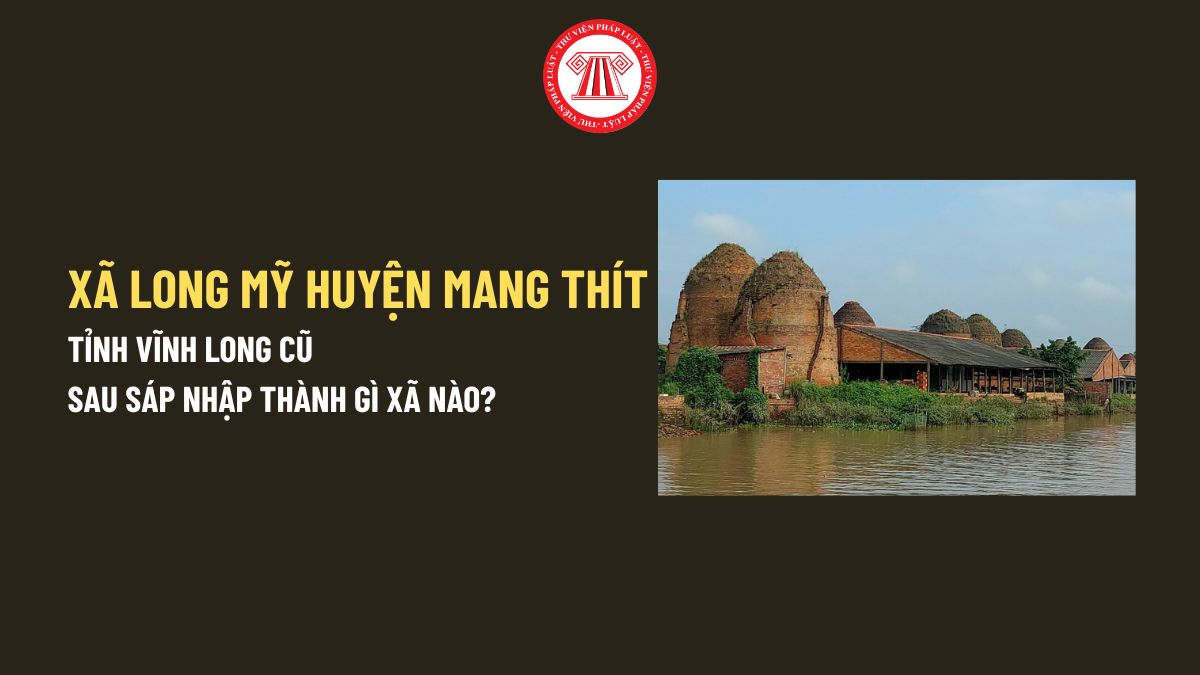 Pháp luật