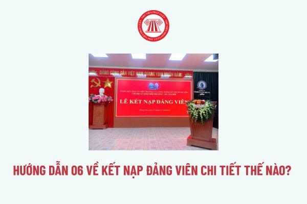 Pháp luật