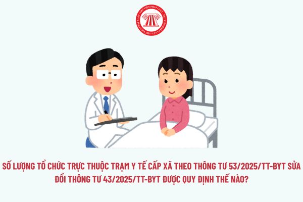 Pháp luật