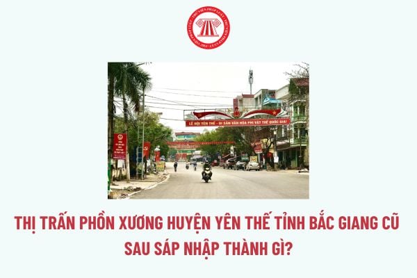 Pháp luật