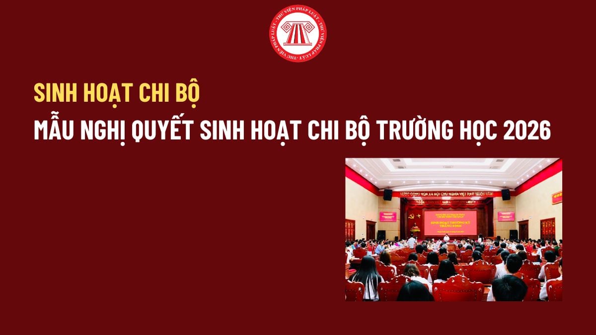 Pháp luật