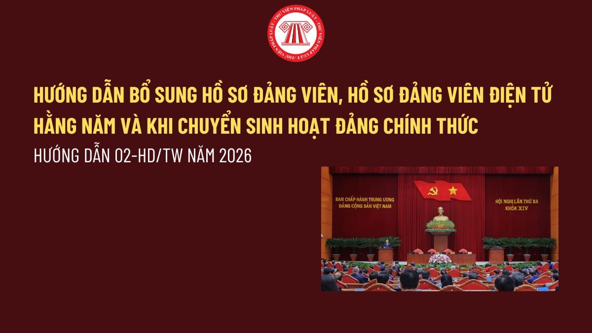 Pháp luật