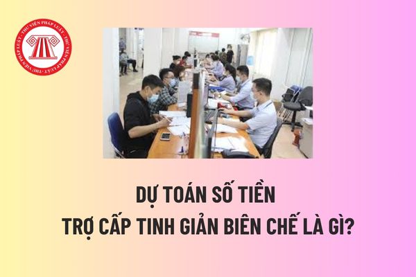 Dự toán số tiền trợ cấp tinh giản biên chế là gì? Dự toán số tiền trợ cấp tinh giản biên chế do ai có trách nhiệm lập? 