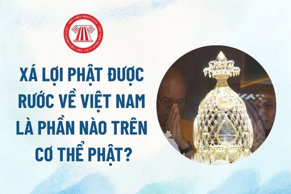 Pháp luật