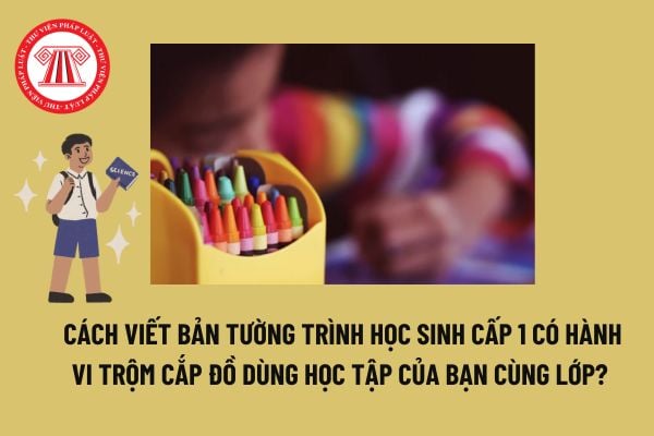 Cách viết Bản tường trình học sinh cấp 1 có hành vi trộm cắp đồ dùng học tập của bạn cùng lớp? Tải mẫu? 