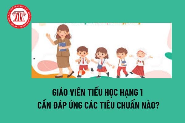 Giáo viên tiểu học hạng 1 cần đáp ứng các tiêu chuẩn nào? Giáo viên tiểu học hạng 1 được làm ban giám khảo hội thi giáo viên dạy giỏi cấp nào? 