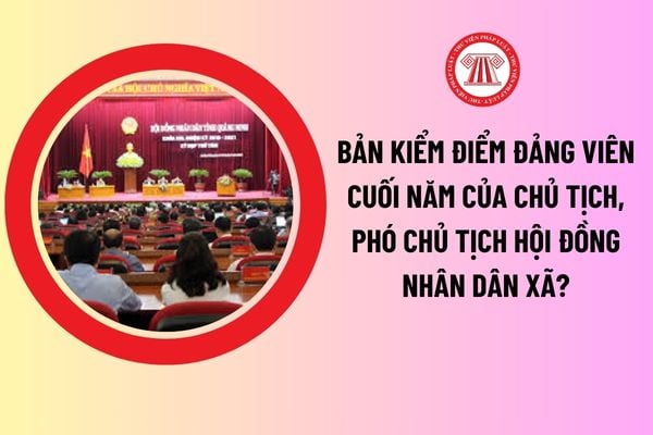 Bản kiểm điểm đảng viên cuối năm của Chủ tịch, Phó Chủ tịch Hội đồng nhân dân xã? Hướng dẫn cách viết chi tiết? 