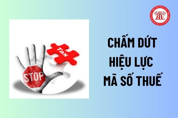 Khi doanh nghiệp, tổ chức kinh tế chấm dứt hiệu lực mã số thuế thì có phải chấm dứt hiệu lực đối với mã số thuế nộp thay không? 