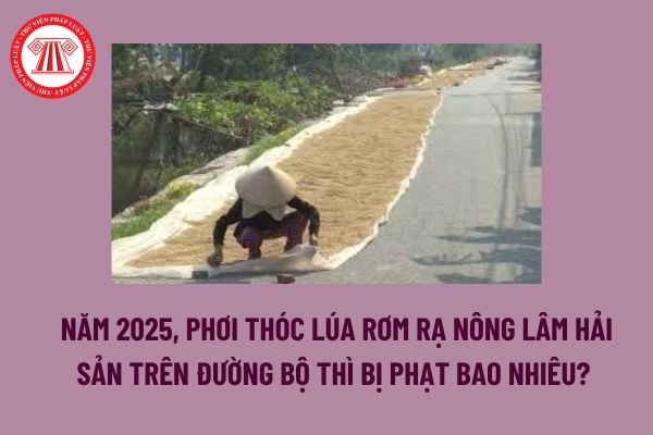 Năm 2025, phơi thóc lúa rơm rạ nông lâm hải sản trên đường bộ thì bị phạt bao nhiêu tiền?