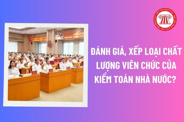 Việc đánh giá, xếp loại chất lượng viên chức của Kiểm toán Nhà nước phải được hoàn thành trước ngày mấy? 