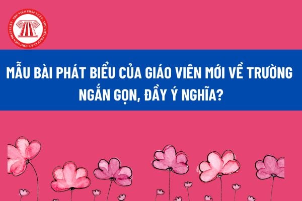 Mẫu Bài phát biểu của giáo viên mới về trường ngắn gọn, đầy ý nghĩa? Các loại sổ sách mà giáo viên THCS phải có? 