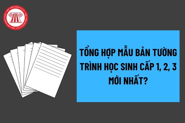 Tổng hợp mẫu bản tường trình học sinh cấp 1, 2, 3 mới nhất? Hướng dẫn cách viết mẫu bản tường trình học sinh? 