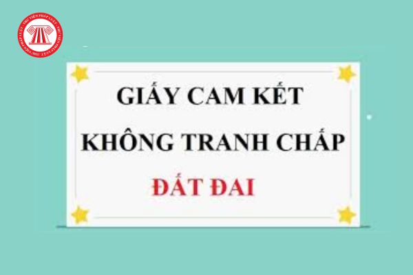 Mẫu Giấy cam kết không có tranh chấp đất đai mới nhất? Nhận chuyển nhượng quyền sử dụng đất nông nghiệp có phải đóng thuế thu nhập không?