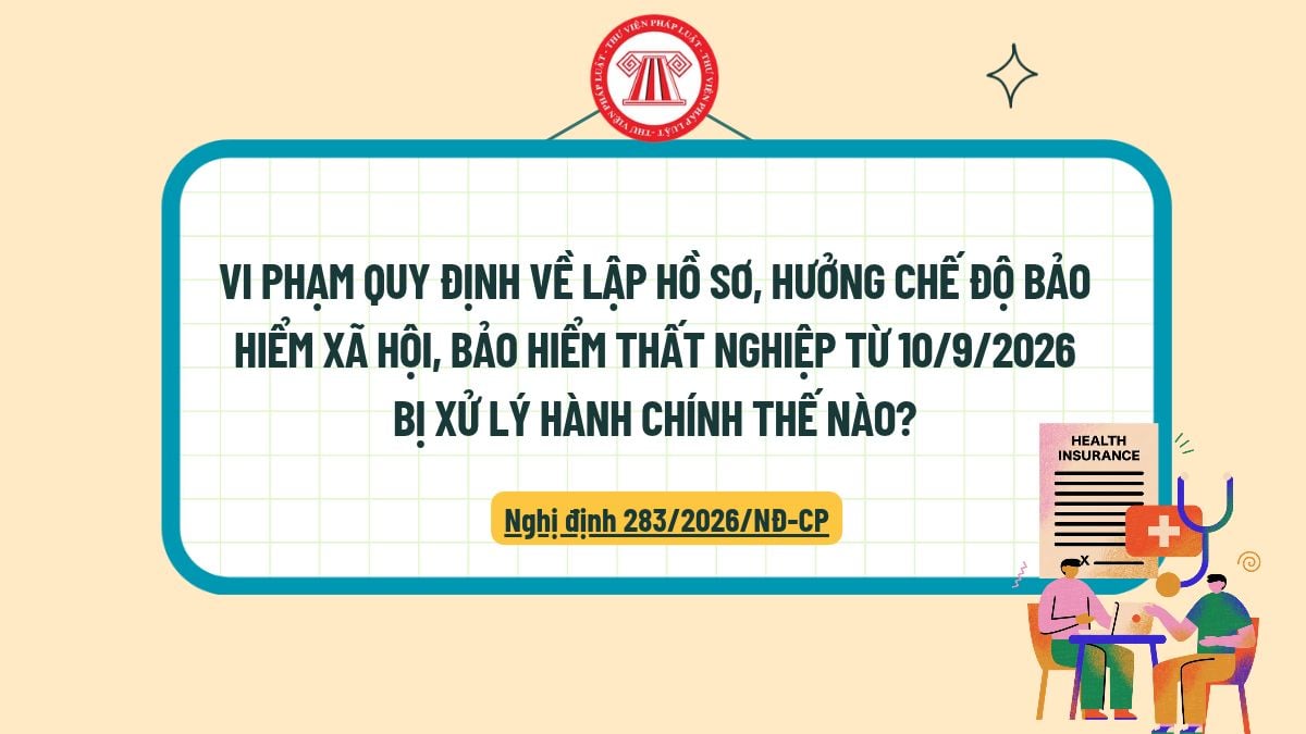 Pháp luật