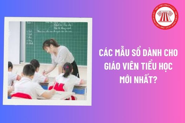 Các Mẫu sổ dành cho giáo viên tiểu học mới nhất? Giáo viên tiểu học dạy bao nhiêu tiết trên 1 tuần?