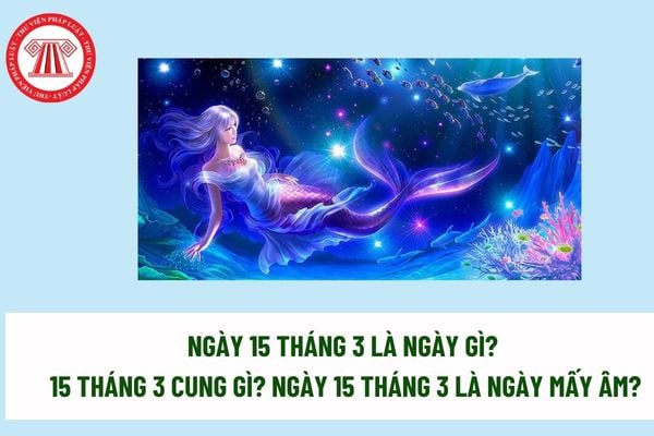 Ngày 15 tháng 3 là ngày gì? 15 tháng 3 cung gì? Ngày 15 tháng 3 là ngày mấy âm? Ngày 15 tháng 3 là ngày gì đối với người tiêu dùng? 