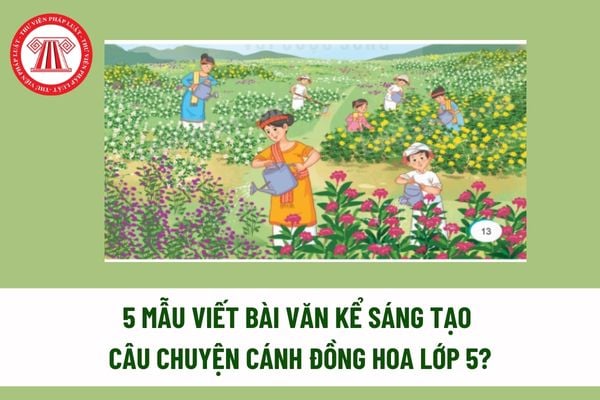 5 Mẫu viết bài văn kể sáng tạo câu chuyện cánh đồng hoa lớp 5? Dàn ý viết bài văn kể sáng tạo câu chuyện cánh đồng hoa? 