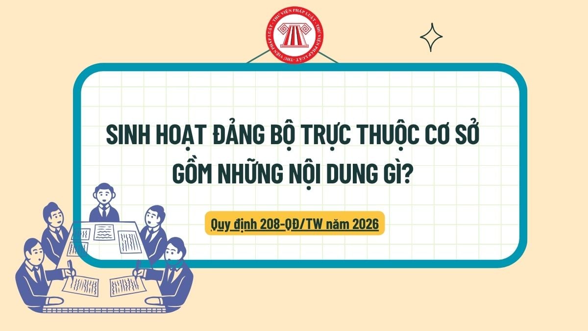 Pháp luật
