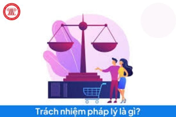 Trách nhiệm pháp lý là gì? Trách nhiệm pháp lý có mấy loại? Vai trò của Nhà nước về phổ biến, giáo dục pháp luật là gì?