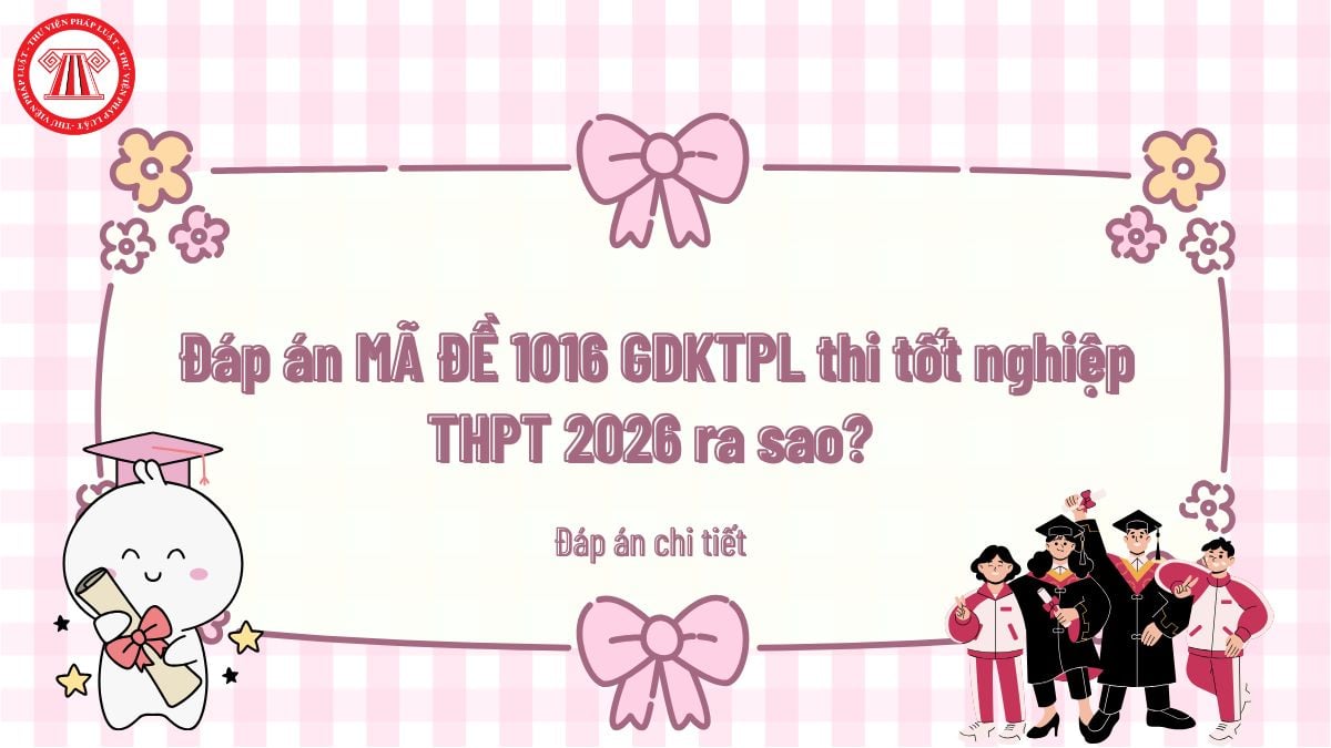 Pháp luật