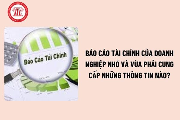 Báo cáo tài chính của doanh nghiệp nhỏ và vừa phải cung cấp những thông tin nào? Hạn nộp báo cáo tài chính năm là khi nào?